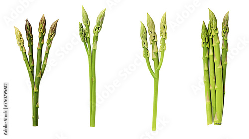 Asparagus Set: Farm-Fresh Ingredients for Gourmet Recipes, Transparent PNG Bundles Perfect for Vegan Culinary Art Projects
