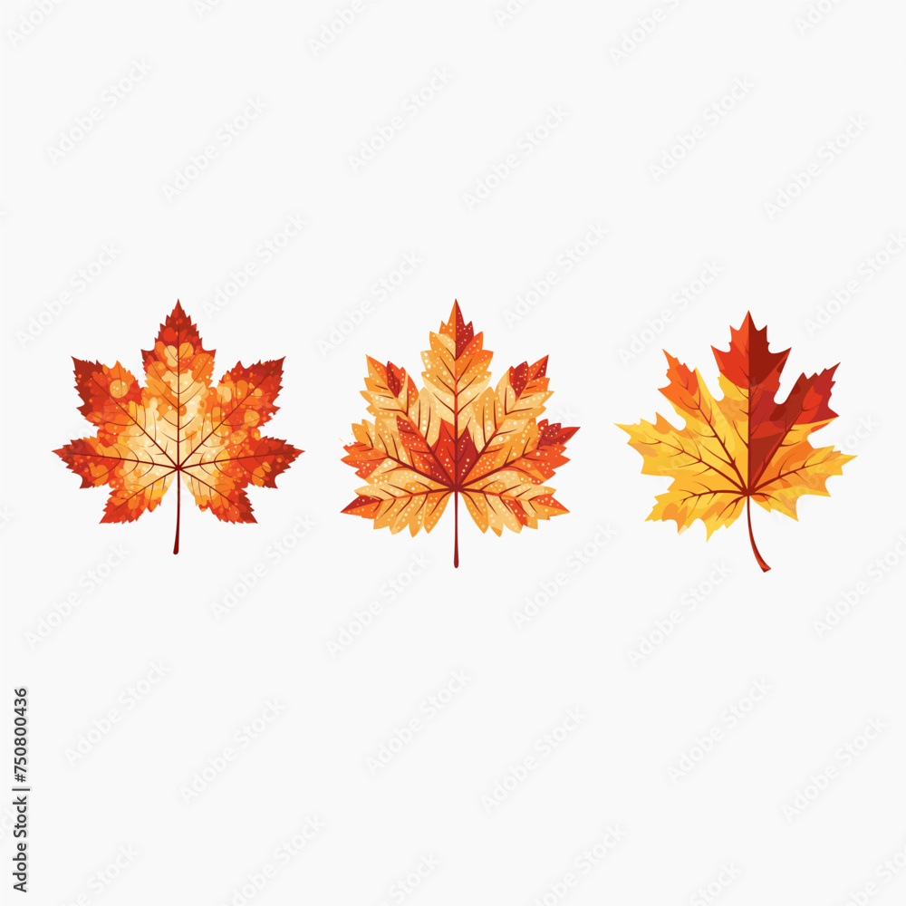 Autumn leaves set isolated on white background Autumn leaves set isolated on white background