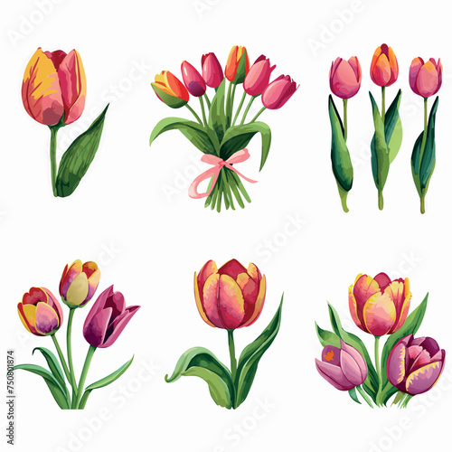 Tulips flowers set of illustrations.