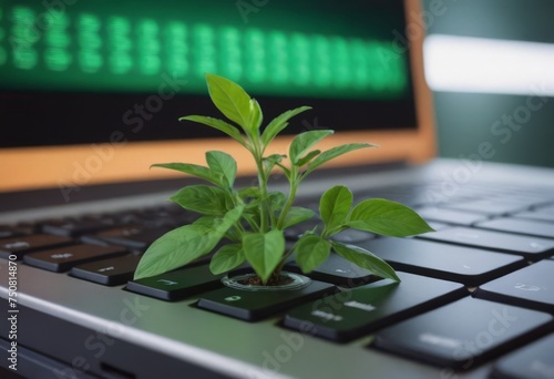 Plant growing from the laptop keyboard. Ecology and environment concept