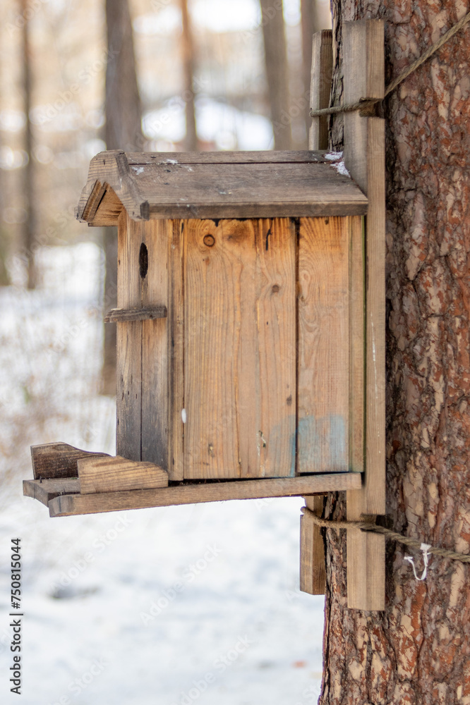 Wooden bird feeder on tree branches. Winter landscape. Wooden bird feeder on tree branches. Winter landscape.