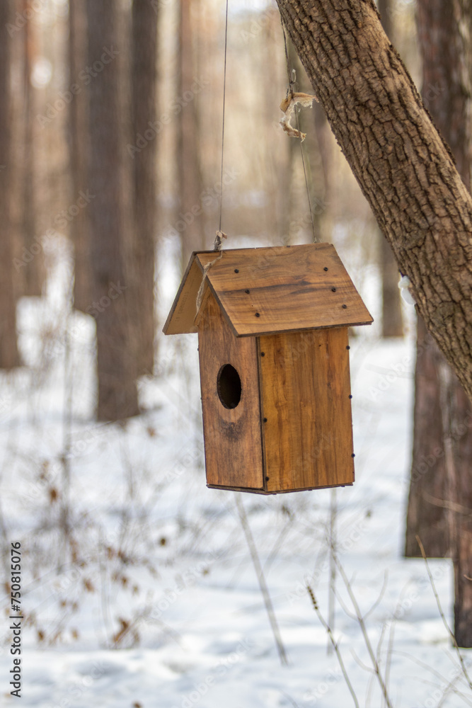 Wooden bird feeder on tree branches. Winter landscape. Wooden bird feeder on tree branches. Winter landscape.