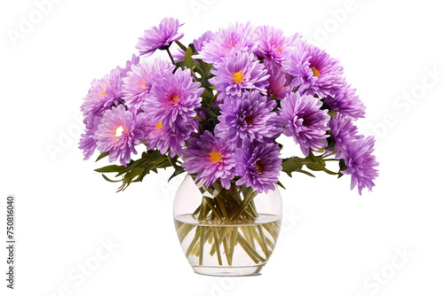 Aster flowers in a glass vase on a transparent isolated background