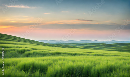 Minimalist Summer Landscape © karandaev