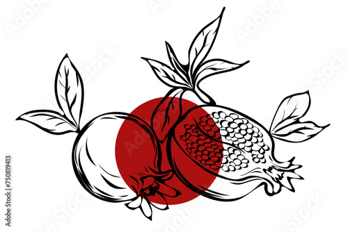 set of hand drawn pomegranate fruits