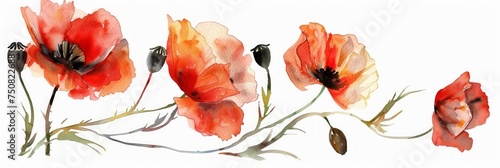 Red Poppy Flower Art - Watercolor Painting with Hand-Drawn Details Generative AI