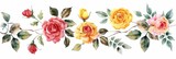 Pink and Yellow Garden Roses Watercolor Arrangement Generative AI