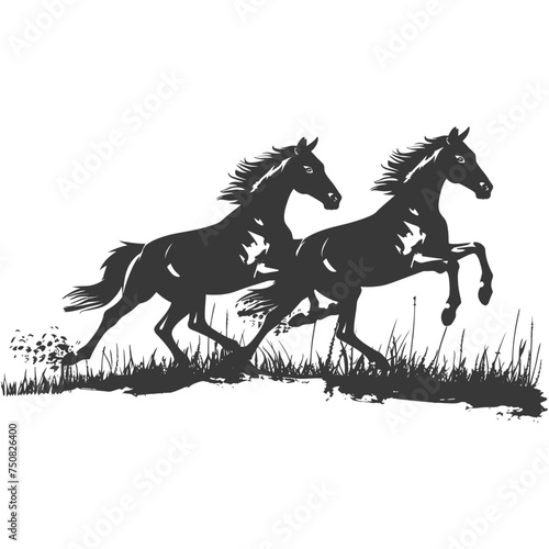 Silhouette two horses galloping