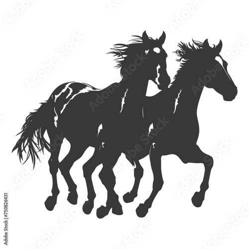 Silhouette two horses galloping