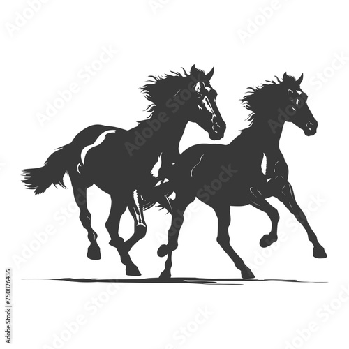 Silhouette two horses galloping