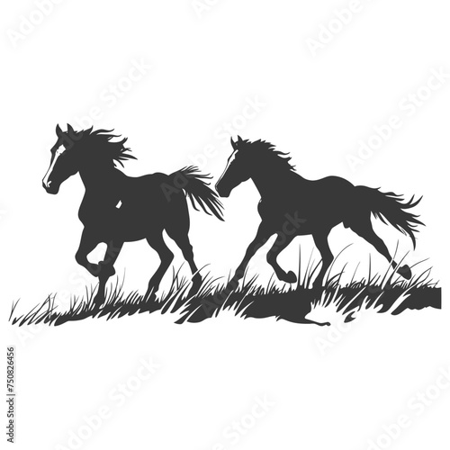 Silhouette two horses galloping