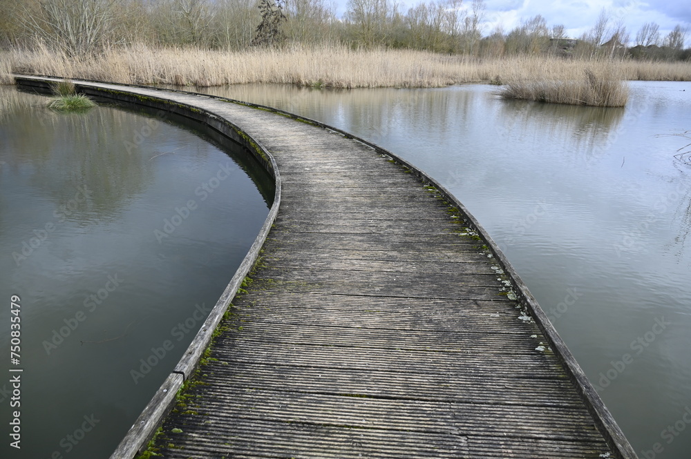 Passerelles en bois sur un lac