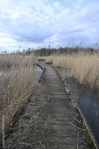 Jolie passerelle de bois sur un lac