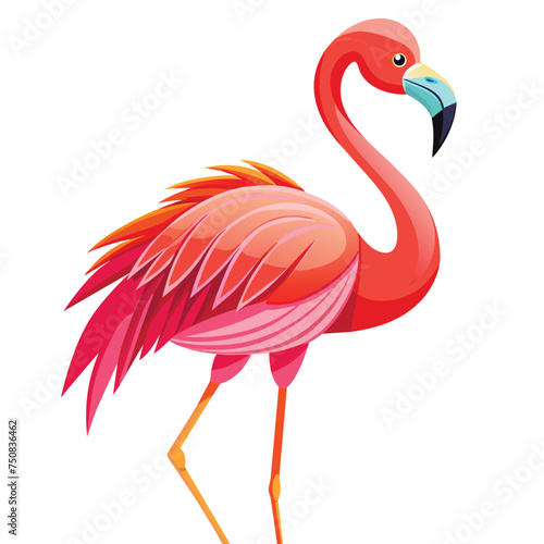 Illustration of flamingo