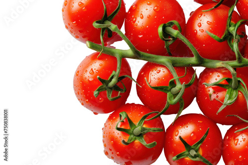 bunch of ripe juicy red tomatoes on the vine,Isolated on a transparent background. © venusvi