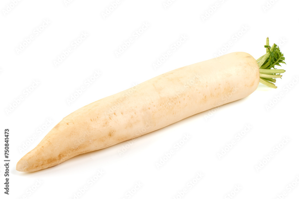 Daikon radish, isolated on white background Daikon radish, isolated on white background