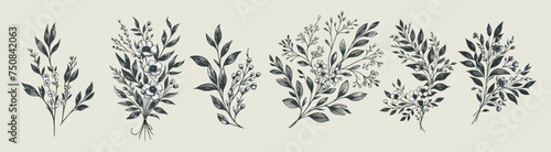Vintage and contemporary botanical elements intertwine in this vector set of hand-drawn herbs and spices. Delight in meticulously crafted line leaves, branches, and blossoming flowers.