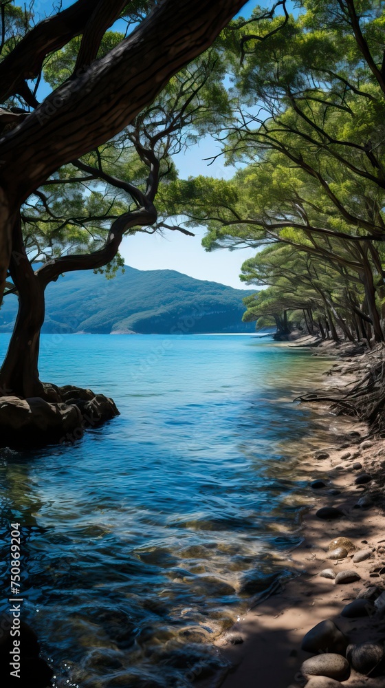 A secluded beach with crystal-clear turquoise waters
A secluded beach with crystal-clear turquoise waters