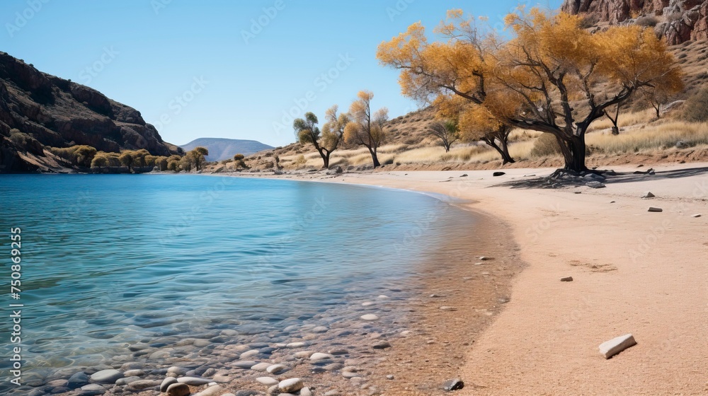 A secluded beach with crystal-clear turquoise waters
A secluded beach with crystal-clear turquoise waters