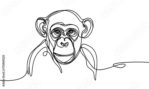 Single line vector image of a chimpanzee.