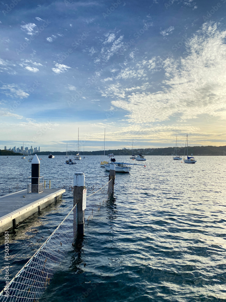 Pier in the sea. Pelican on a quay post. Lake with boats sailing. Wooden dock on the shore. Bollard for mooring boats. City of Sydney at the distance.