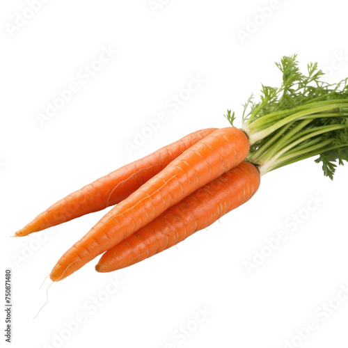 Carrot Isolated on transparent background