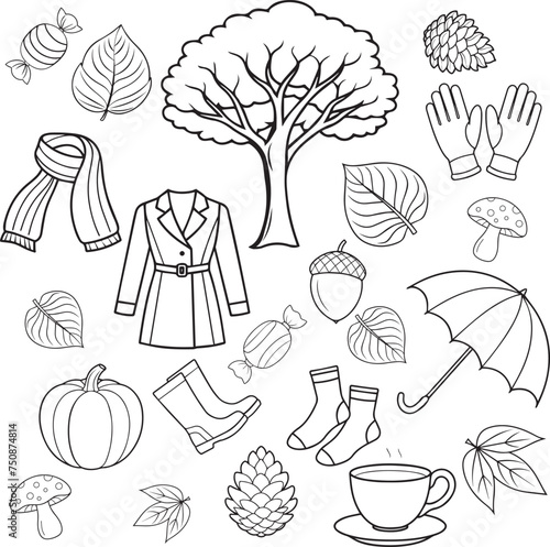 Autumnal Bliss Collection