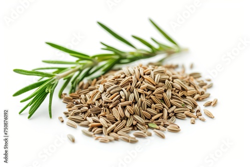 Rosemary seeds and leafs on white background, macro.