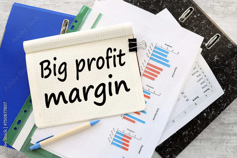 Big Profit Margins work desk blue folder blue financial charts. text on a notebook Big Profit Margins work desk blue folder blue financial charts. text on a notebook