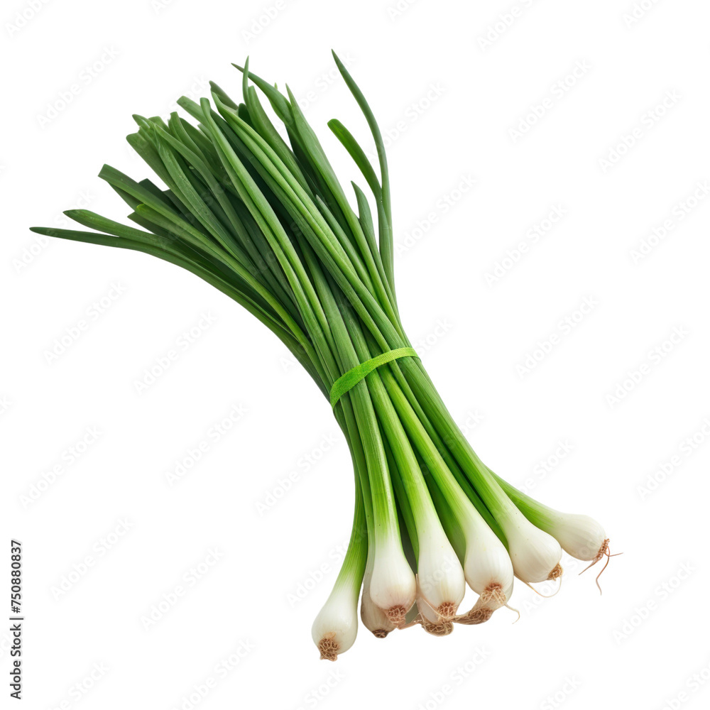 Green onion Isolated on transparent background Green onion Isolated on transparent background