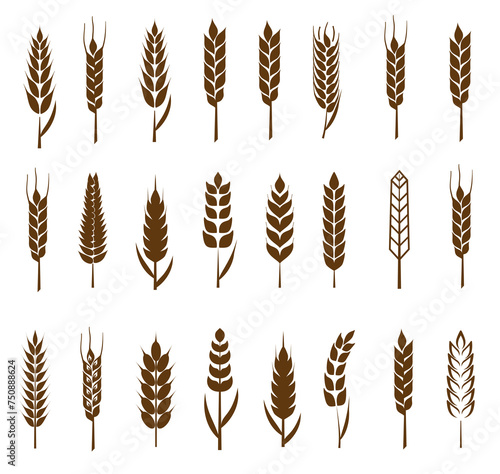 A large set of silhouettes and symbols of grains and ears of corn