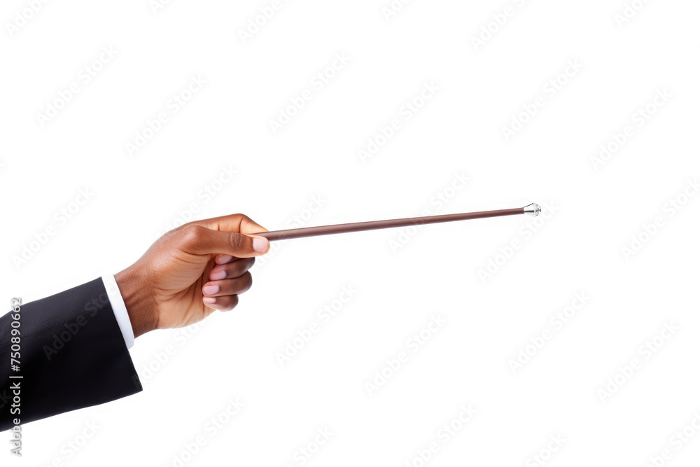 A conductor's baton is held in a man's hand A conductor's baton is held in a man's hand