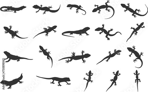 Lizard silhouette, Gecko lizard silhouette, Gecko silhouettes, Gecko lizard svg, Lizard svg, Gecko lizard clipart, Lizard vector set