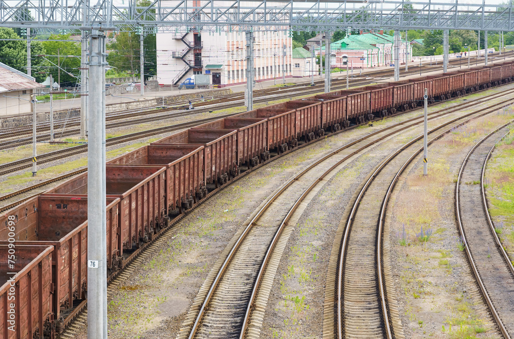 Fototapeta premium Train Traveling Alongside Forested Train Tracks