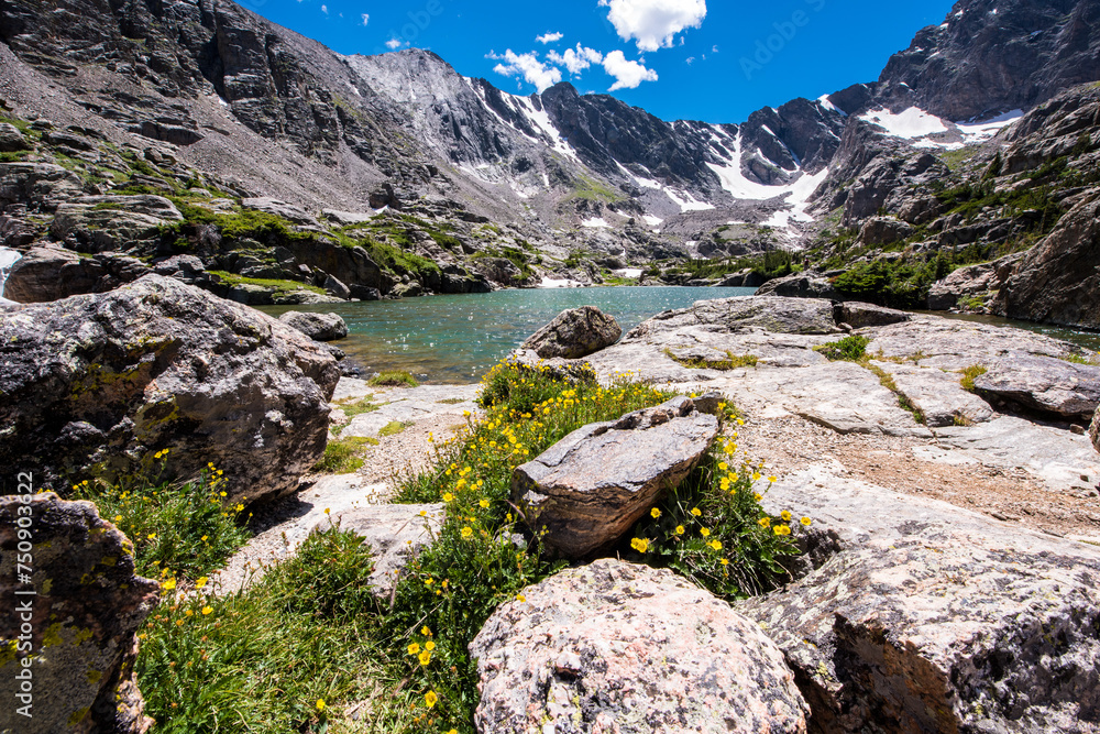 wild flowers and sky pond at Rocky Mountain national park, Colorado wild flowers and sky pond at Rocky Mountain national park, Colorado