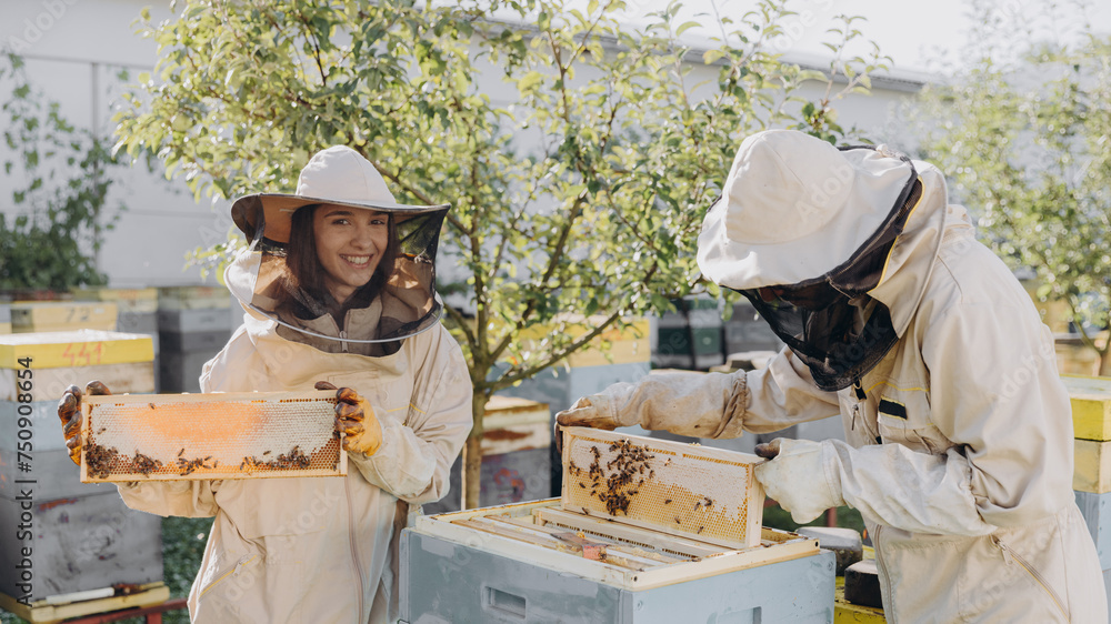 Two beekeepers works with honeycomb full of bees, in protective uniform working on apiary farm, getting honeycomb from the wooden beehive Two beekeepers works with honeycomb full of bees, in protective uniform working on apiary farm, getting honeycomb from the wooden beehive