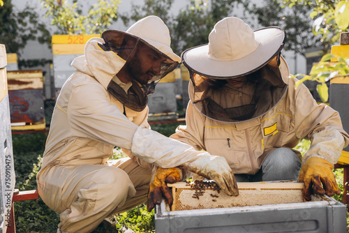 Couple of happy smiling beekeepers working with beekeeping tools near beehive at bee farm photo