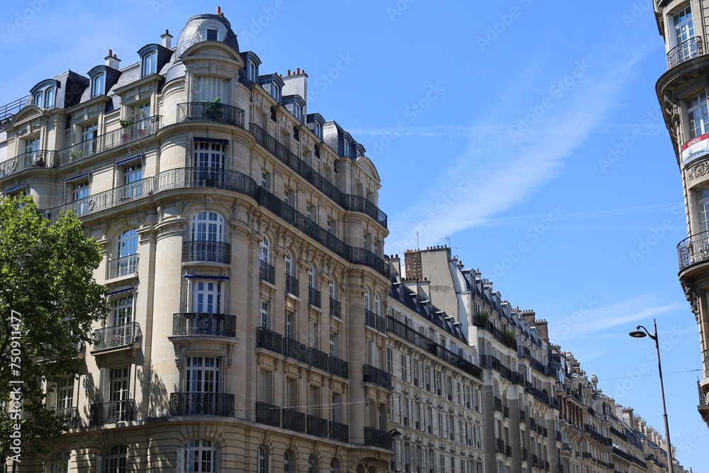 real estate in wealthy neighborhood of Paris , 8th arrondissement - obrazy, fototapety, plakaty 