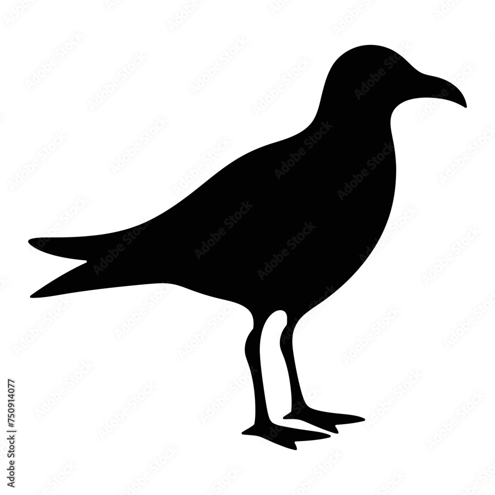 silhouette of a seagull bird cute seagull vector illustration with a white background silhouette of a seagull bird cute seagull vector illustration with a white background