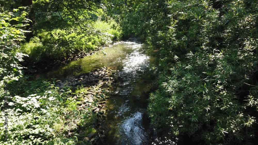 Creek in summer forest with sunlight Creek in summer forest with sunlight