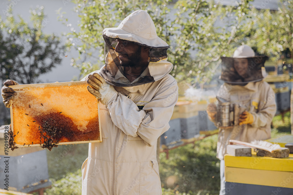 Happy Indian Beekeeper in a uniform standing in apiary and holding a honeybee frame on bees farm Happy Indian Beekeeper in a uniform standing in apiary and holding a honeybee frame on bees farm