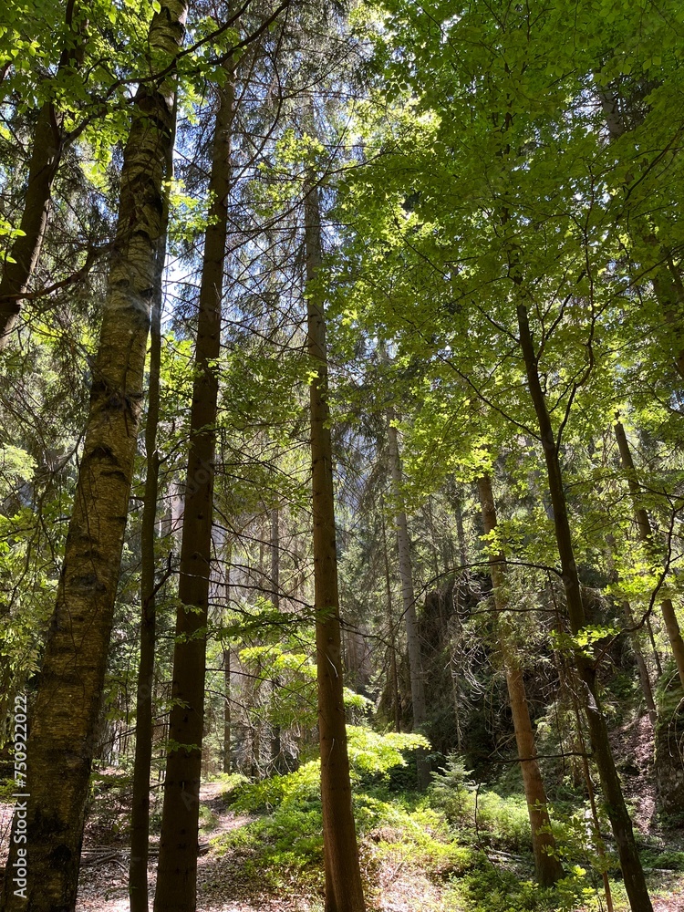 Dolni Adršpach ,Dolni Adršpach Dolni Adršpach ,Dolni Adršpach