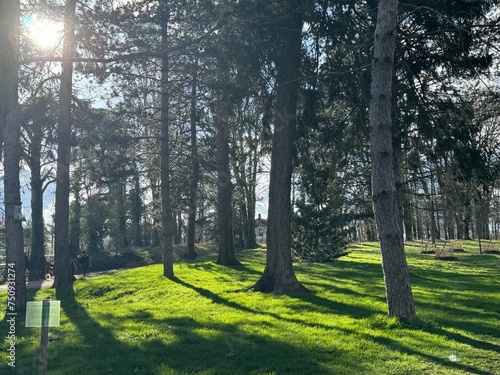 Forêt parc du vivier