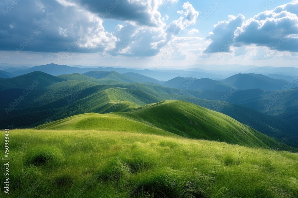 Green summer hills in the mountains Green summer hills in the mountains