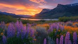 Sunset with wildflowers in a mountain valley