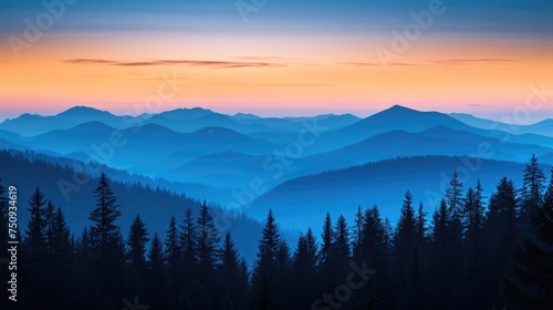 Forest Silhouette with Twilight Sky