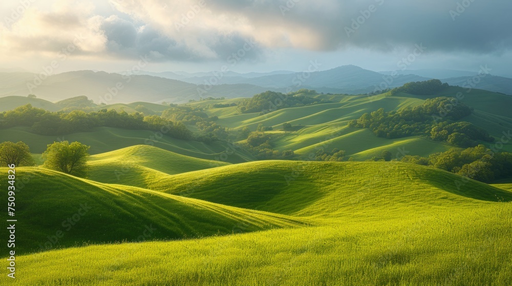 Golden Light Over Rolling Countryside Golden Light Over Rolling Countryside
