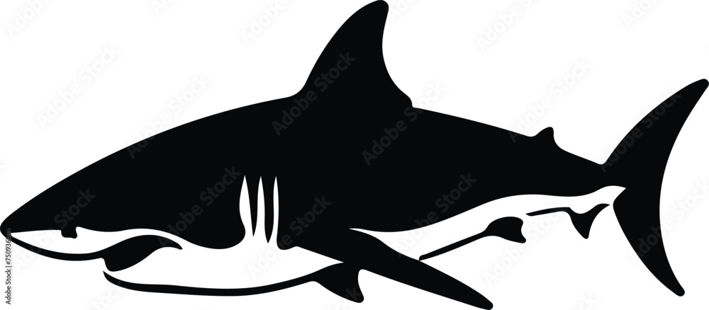 Fototapeta premium great white shark silhouette