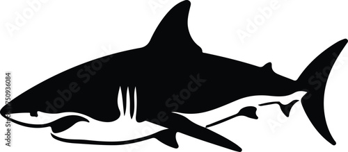 great white shark  silhouette