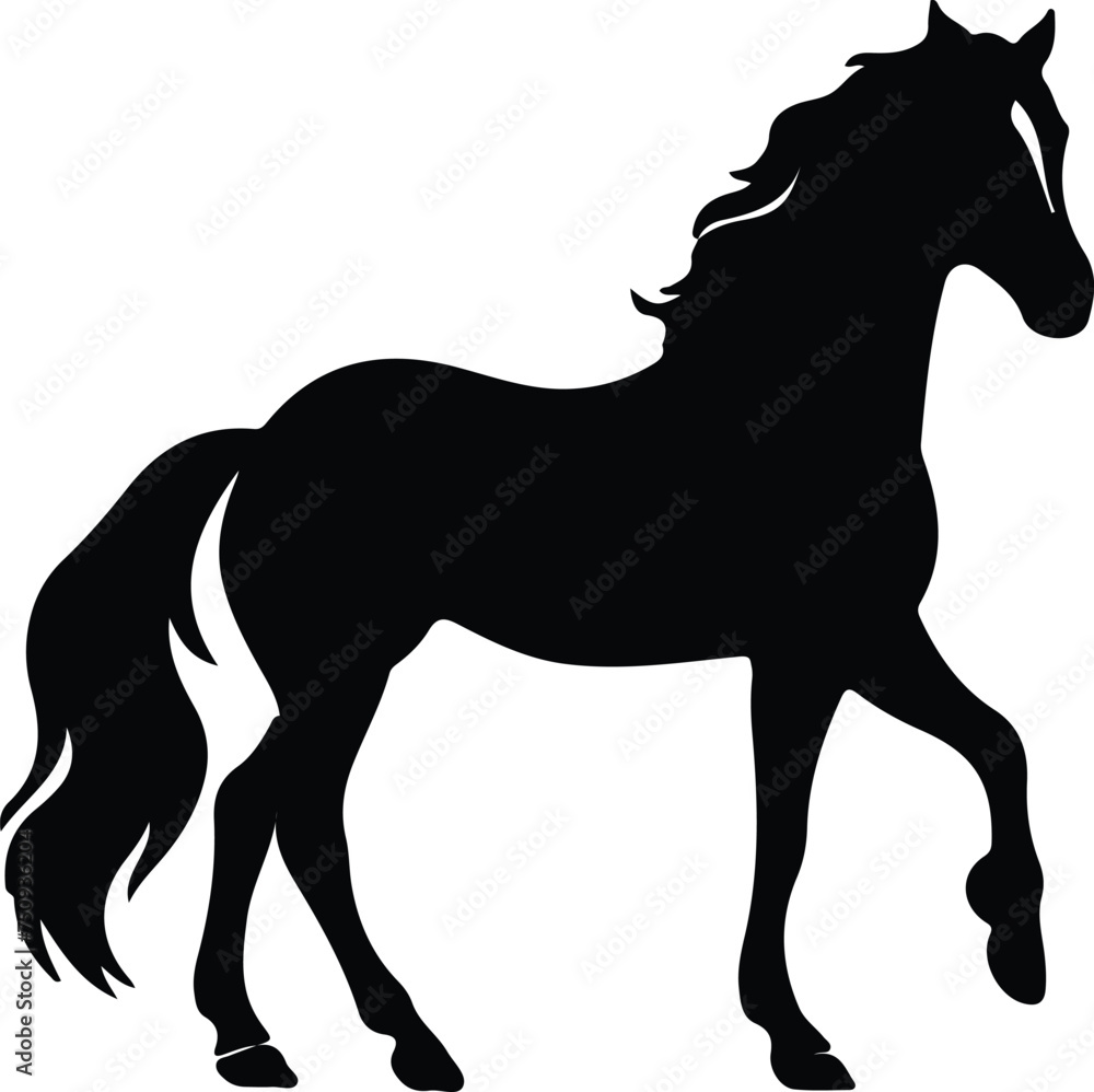 Obraz premium horse silhouette